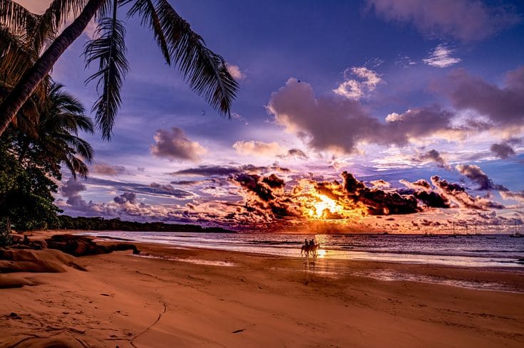 Prepárate para la Temporada Alta: Consejos para Invertir, Comprar o Alquilar en Tamarindo Antes del Pico